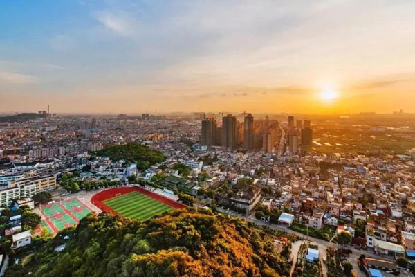 支持和服務好現(xiàn)有企業(yè)！黃圃鎮(zhèn)全力以赴促發(fā)展